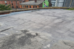 Picture6
